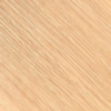 SE